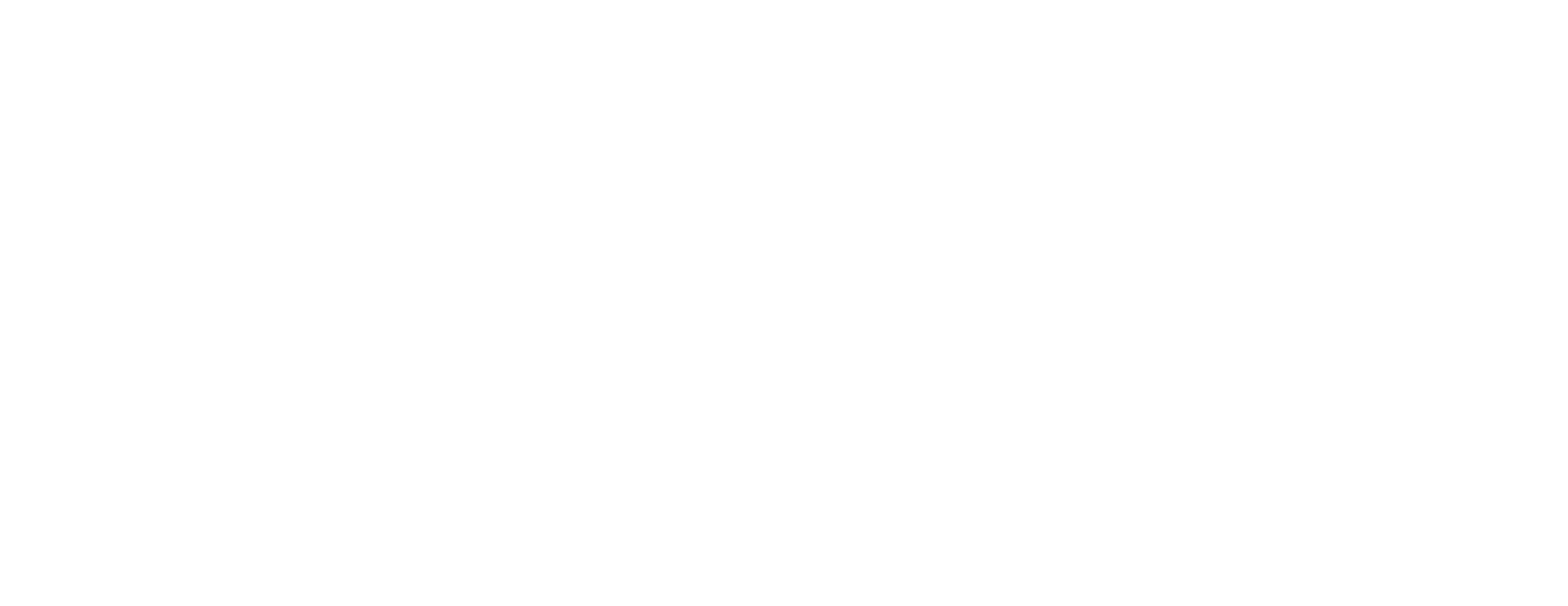 Tokalaporte Logo